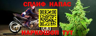 прущие грибы Заволжье
