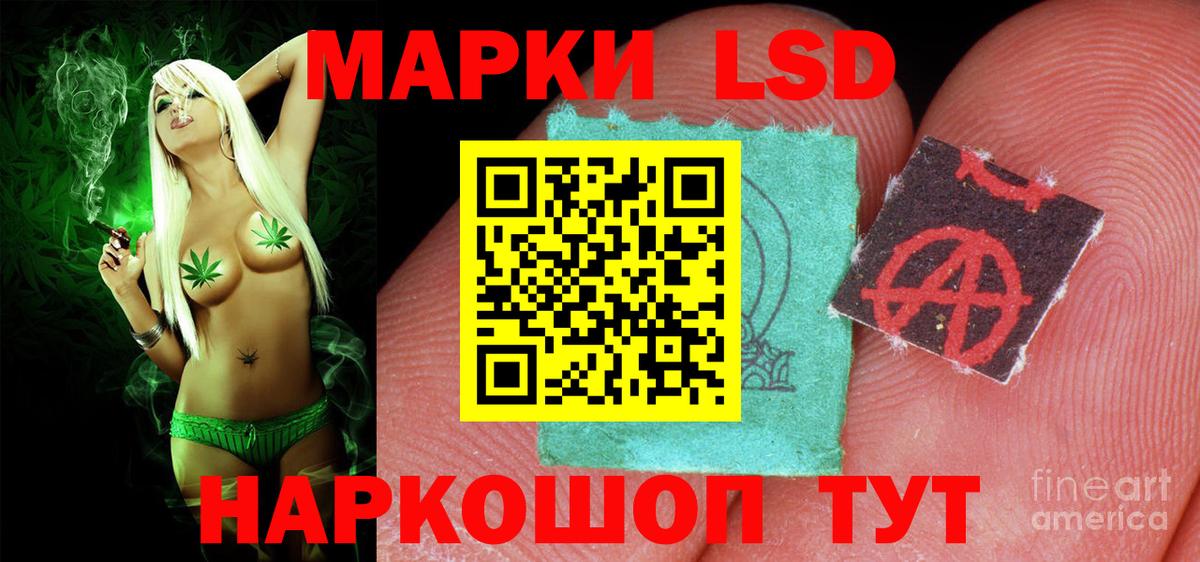 LSD-25 экстази кислота  Вход с VPN  Лсд 25 экстази кислота  Курчалой 