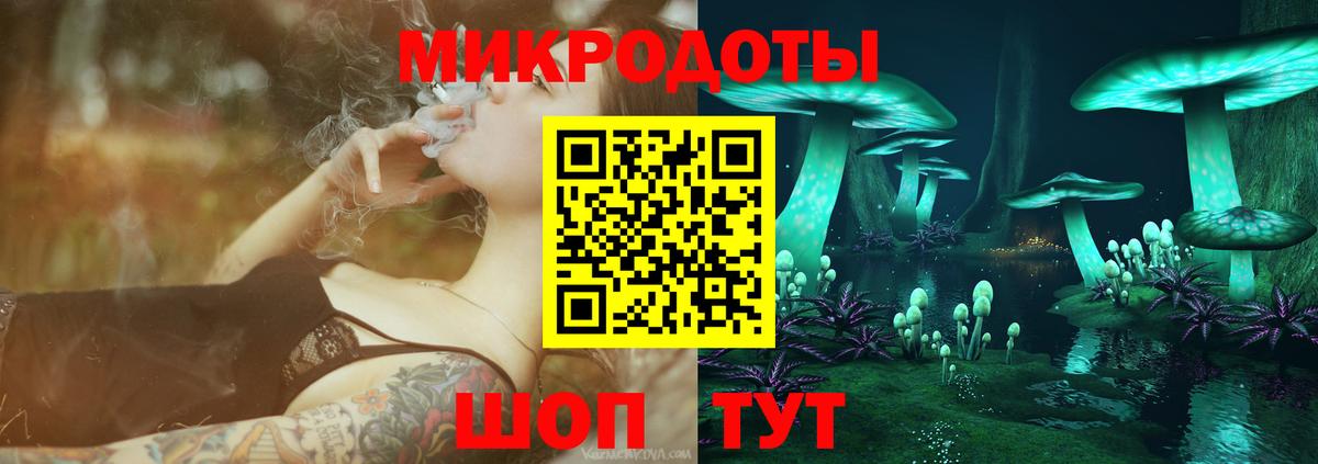 Курчалой  Псилоцибиновые грибы мицелий  Вход с VPN 