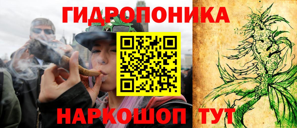 МАРИХУАНА планчик Курчалой